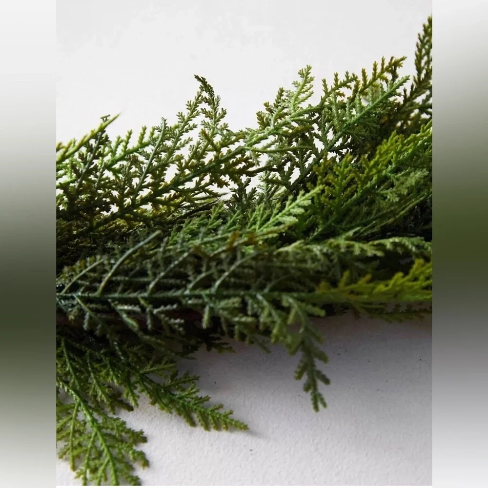 Anthropologie Terrain indoor brings only